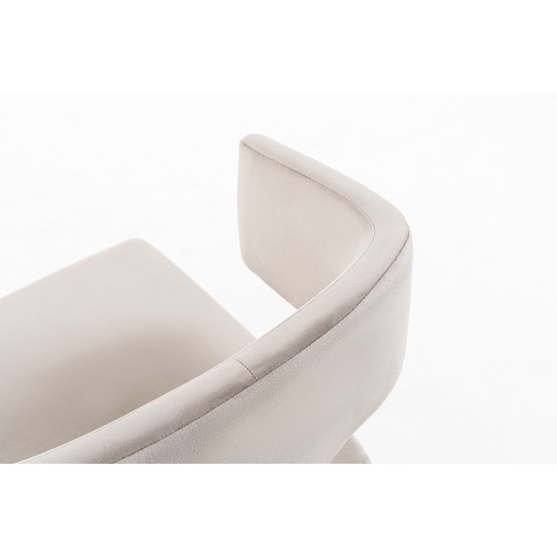 Malachi 17'' H Velvet Upholstered Armchair