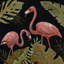 « flamant roses sweetheart i », reproduction sur toile tendue encadrée-26601054