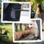 Foldable Pet Stroller