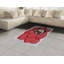 Tapis décoratif à longs fils en fibre de polyester à haute densité Pug-42030007