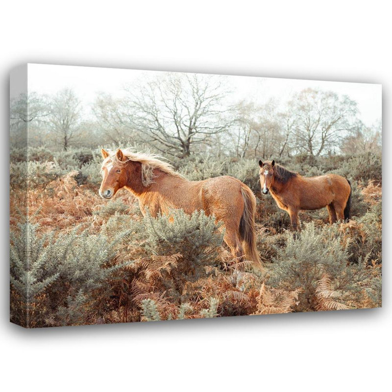 Art sur toile tendu avec châssis Union Rustic Frank, Assaf: Chevaux dans la forêt, H 36 po x l 47 po