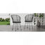 TAVON CHAIR, 2PCS avec 2 coussins, gris