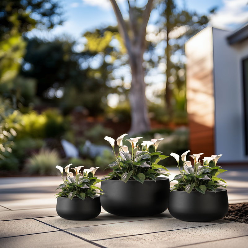 Ensemble de pots à fleurs en béton 3 pièces Lupin, Noir anthracite