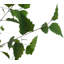 7' Artificial Birch Tree in Pot