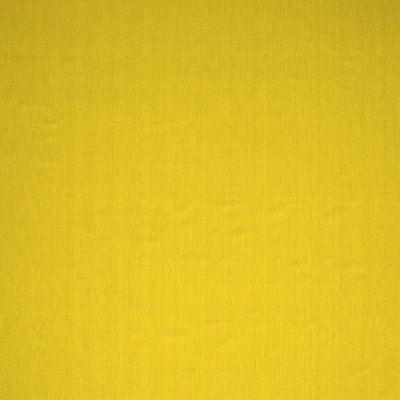 Performance Indoor Rug