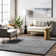 Conye Performance Grey Shag Area Rug