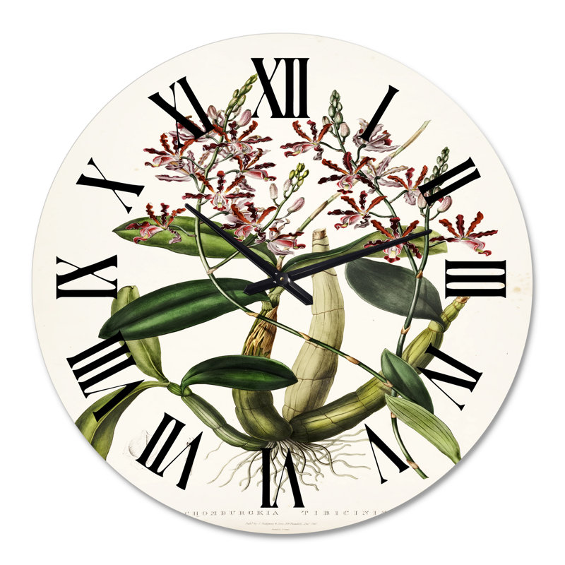 Vintage Plant Life VII - Horloge murale traditionnelle, Moyenne