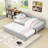 Twin Daybed with L-Shaped Backrest and Twin Trundle-1758909675