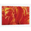 « party tulip ii », impression sur toile-29483357-73551104-73560693
