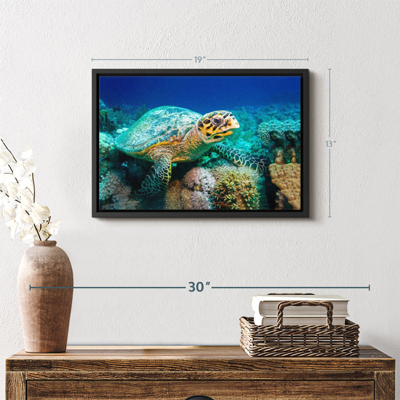 Tortue sous l'eau, impression sur toile, H 13 po x l 19 po