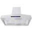 Hotte murale en acier inoxydable Proline 42 pouces 1200 CFM