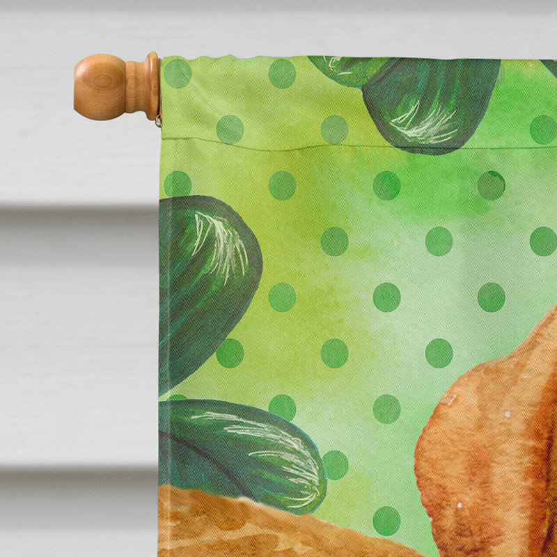 40 x 28 po en polyester à 2 côtés de la st patrick drapeau maison, Golden retriever blond