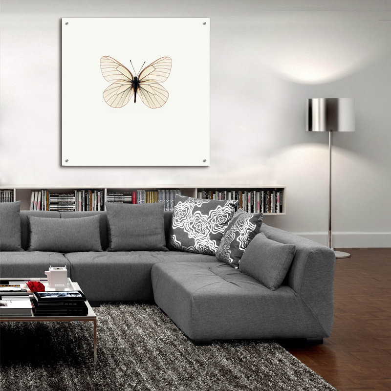 «White Butterfly» par Photoinc Studio, art mural en verre acrylique, H 36 po x l 36 po x P 0,2 po