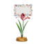 Sofia Place Card - Multi