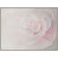 Garden Mist 1 Print by Studio L57 Affinity-1161736046