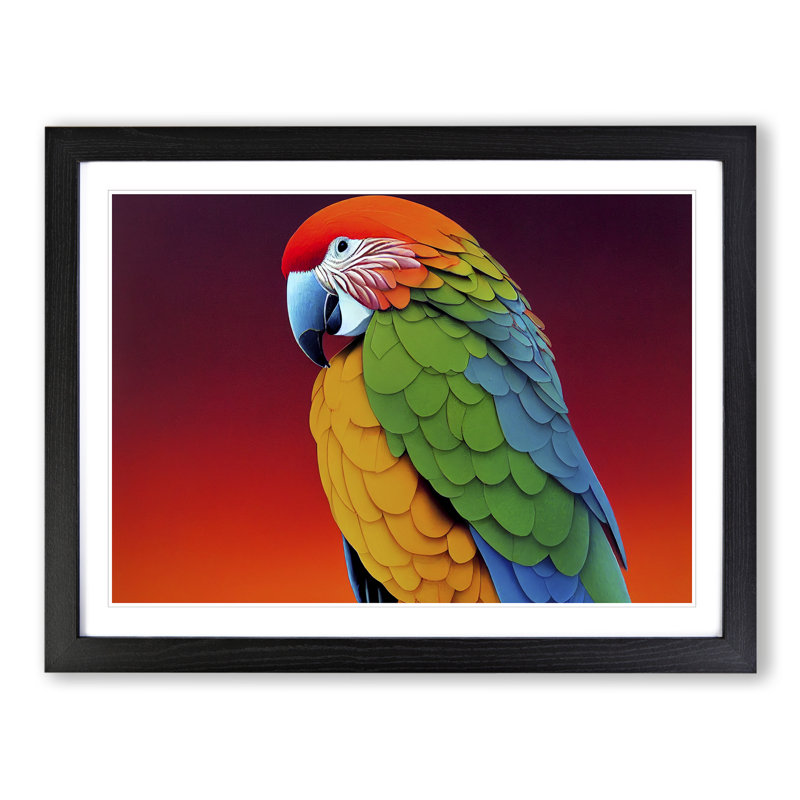 Colourful Parrot Portrait Vol.2 - Single Picture Frame Print, Black Framed, 46cm H x 64cm W x 2cm D