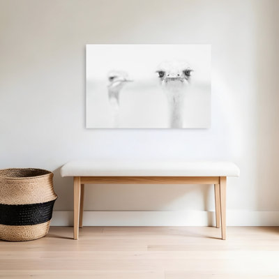Curious Ostrich Portrait Minimalist Bird Wall Art Print by Carlo Tonti - Wrapped Canvas Print