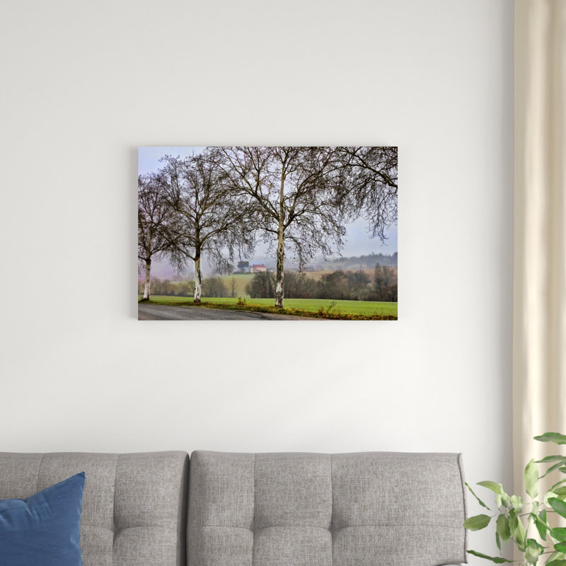 «Pastoral Countryside XI», photographie sur toile, H 20 po x l 30 po