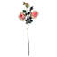 Artificial Arrangement-106401574