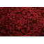 One-of-a-Kind 5'5" X 5'9" Hand Knotted Area Rug