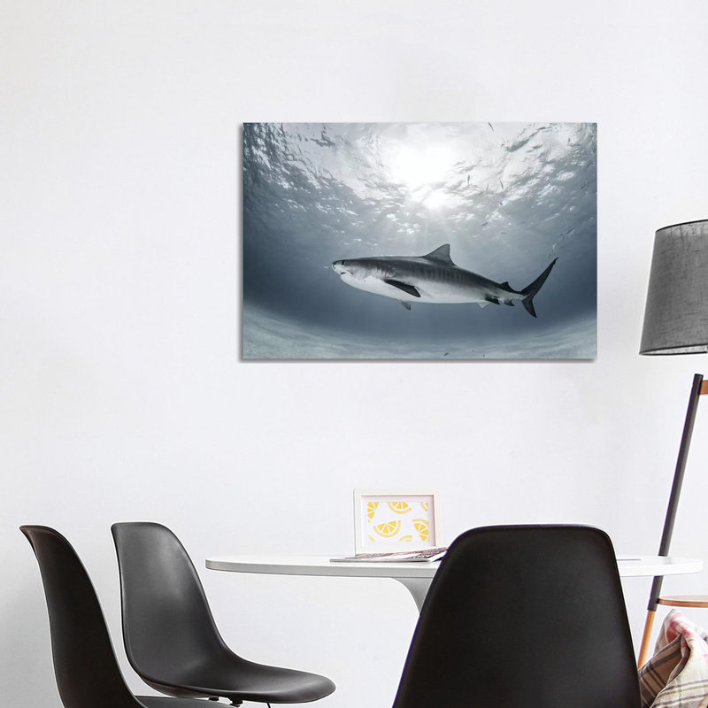 Tiger Rays by Ken Kiefer - Wrapped Canvas Gallery-Wrapped Canvas Giclée, 101.6 cm H x 66.04 cm W x 1.91 cm D