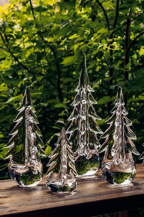 Evergreens