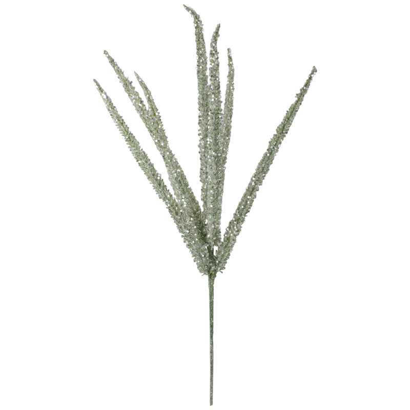 25 plantes