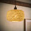Bjorn 15 cm H Novelty Pendant Shade ( Clip On )-24429363-28712008