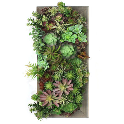 Faux Succulent Plant in Wood Freestanding