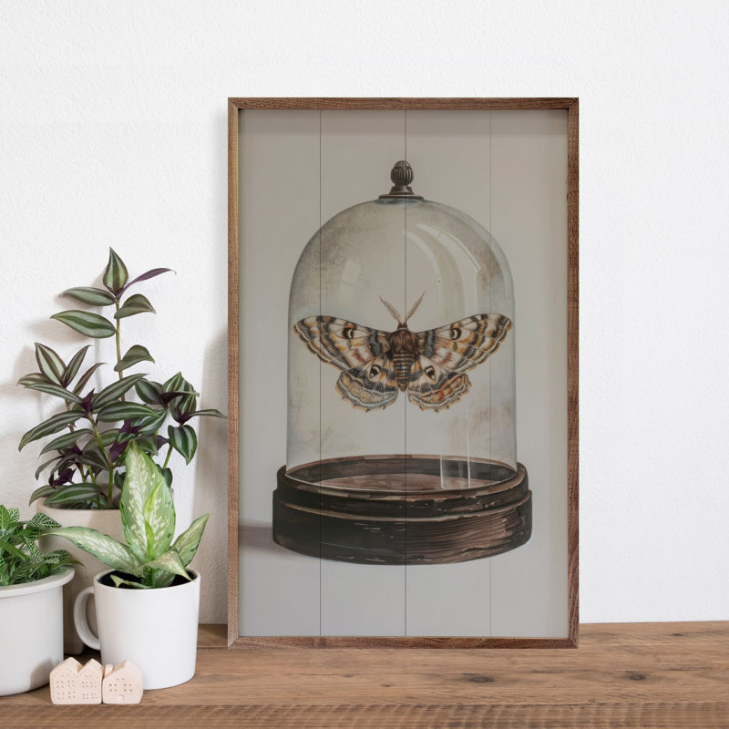 «Glass Moth I» par Petals Prints Design, H 16 po x l 10 po