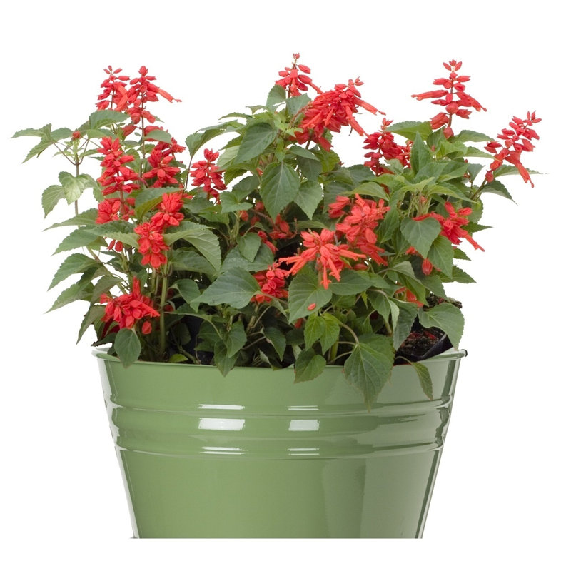 Enameled Galvanized Steel Planter, Set Of Two, Green