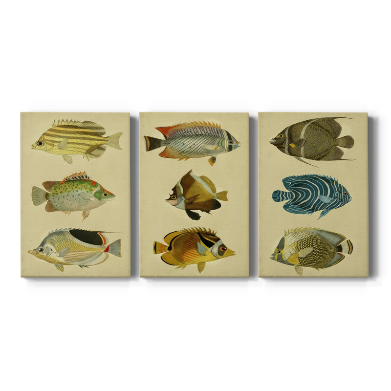 Trio de poissons tropicaux I - Toile tendue sur mesure avec châssis - 3 pièces, H 12 po x l 24 po