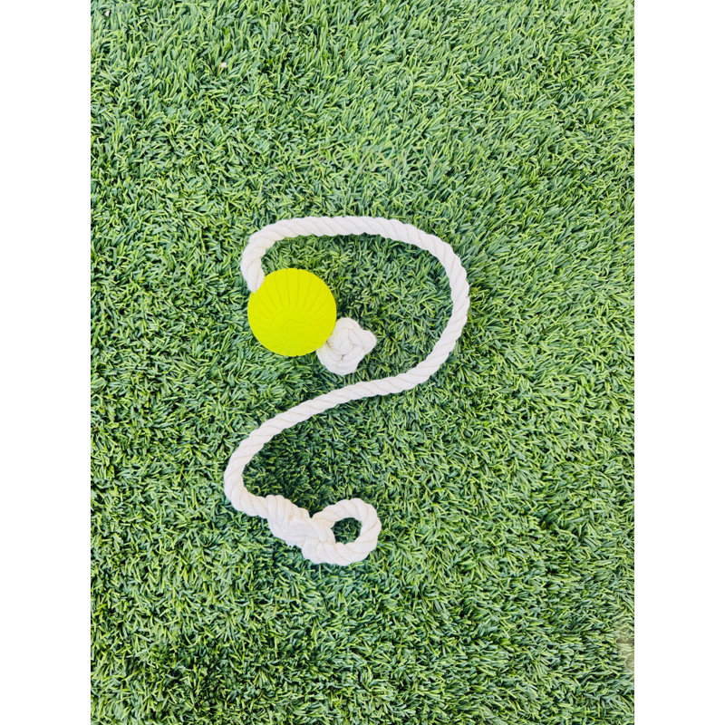 Tough Ball Attachment for Tug Poles - Jouet d'exercice pour chiens actifs