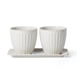 Lenox French Perle Scallop 3-Piece Herb Pots & Tray Set