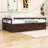 Wooden Extending Twin Daybed with Twin Trundle-1059163913