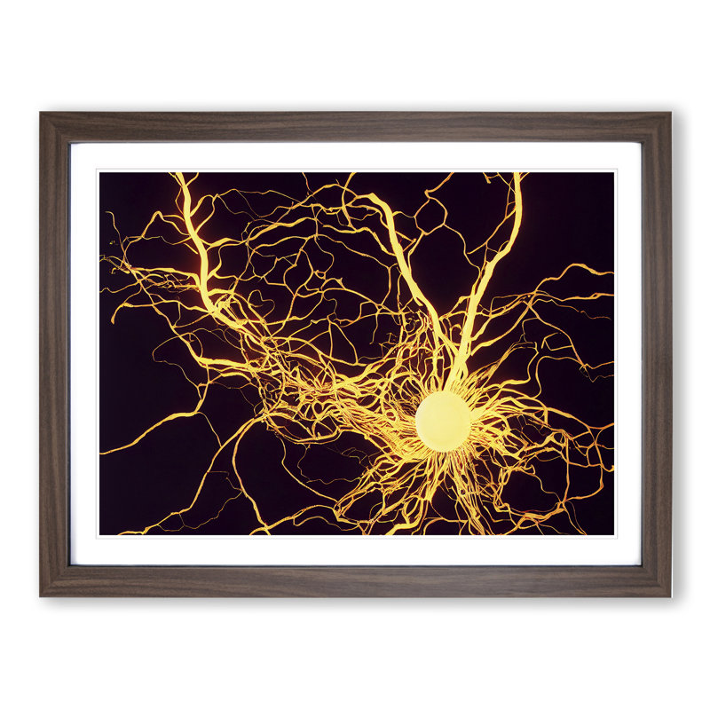 XH1022-3012X Electricity Vol.2 - Single Picture Frame Print, 25cm H x 34cm W x 2cm D, Walnut
