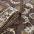Jordan Bea Floral Indoor Rug-79246248