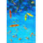Mica - Wrapped Canvas Painting-20661796
