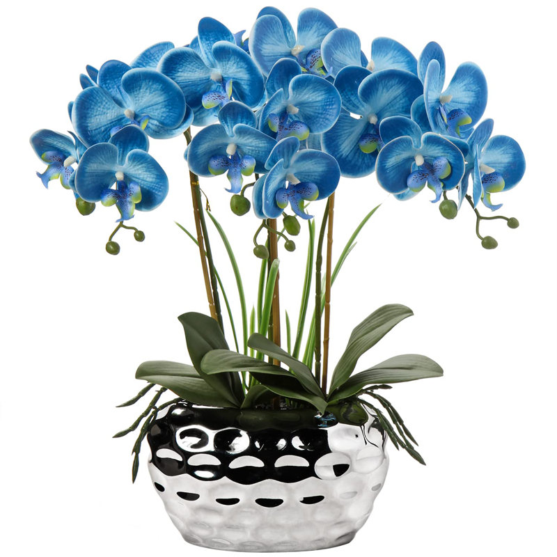 Rowney Arrangement, Blue