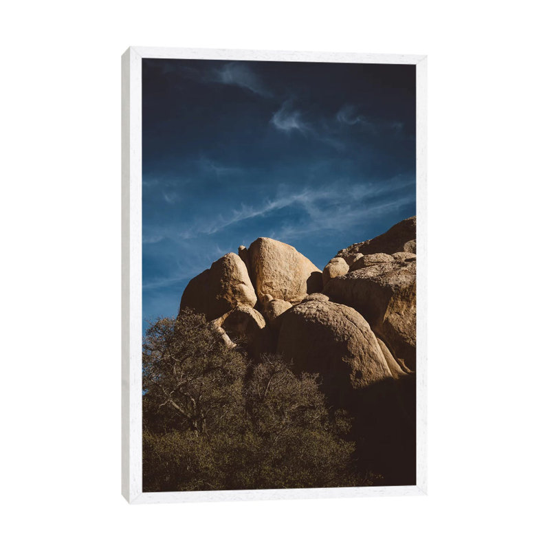 Joshua Tree National Park XIII 1 Piece Wall Art on Canvas, 101.6cm H x 66.04cm W x 3.81cm D, White Framed