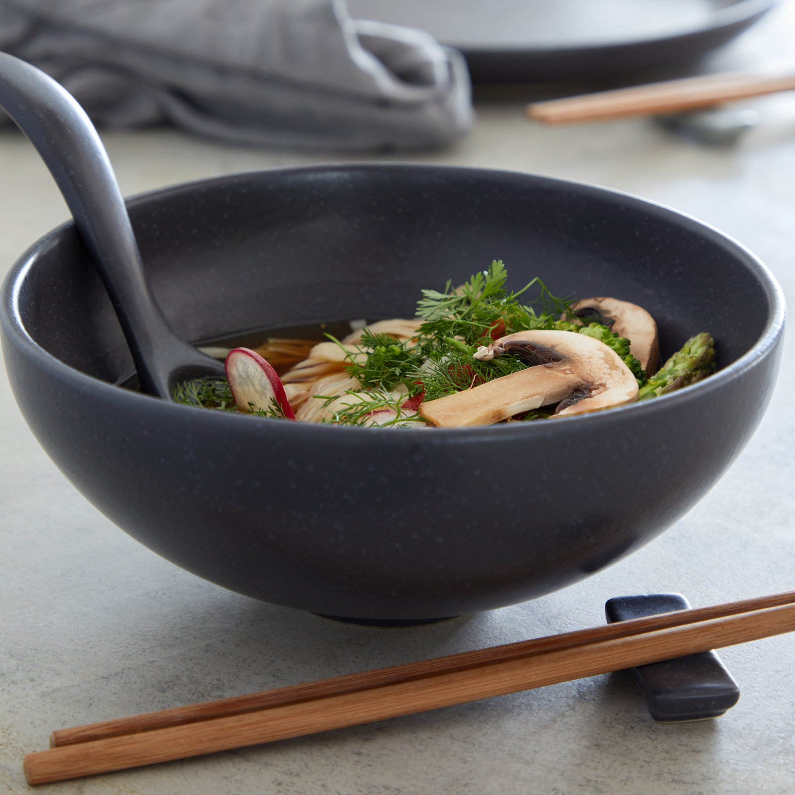 Casafina Pacifica Ramen Bowl Set, Seed Gray