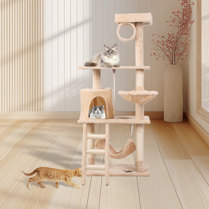 Arbre à chat Alimi