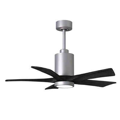 Patricia LED Downrod Ceiling Fan