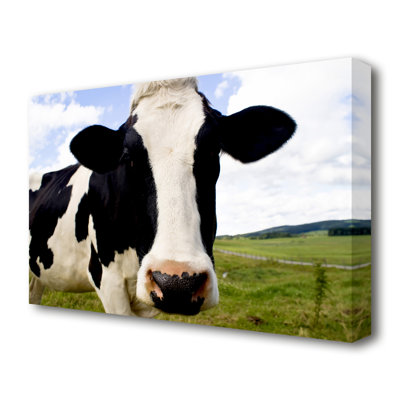 Daisy Cow Wildlife - Wrapped Canvas Print