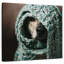 Chien enveloppé Brampt-109394804