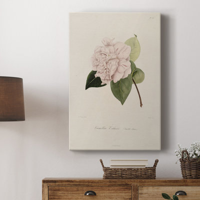Imprimé floral rétro CXCI - galerie enveloppée Cavas