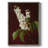 FLORAL Series CXCIX Framed Print - Solid Wood-811254870