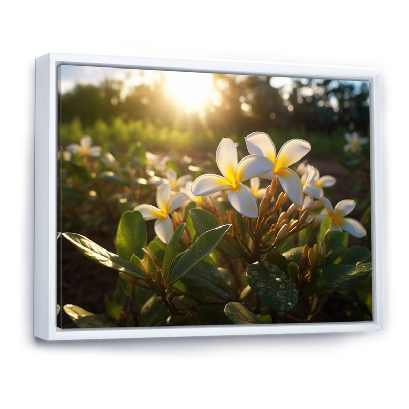Jaune jaune blanc exotique Plumeria Blooms III sur toile, H 12 po x l 20 po x P 1 po, Cadre flottant blanc