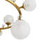 Troon 12 - Light Chandelier