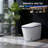 BCANHOME Smart Toilet With Bidet Built-in, Auto Open/Close Lid, Elongated Soft-Closed Heated Seat, Tankless Auto/Knob/Sensor/Remote Flush, Warm Wash & Dryer, Massage Clean, Gentle Night Light, LED Display